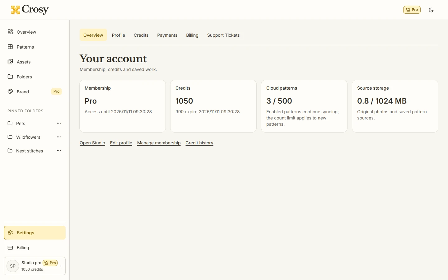 Settings account overview showing membership, credits, cloud usage and source storage with links to Credits and Billing.