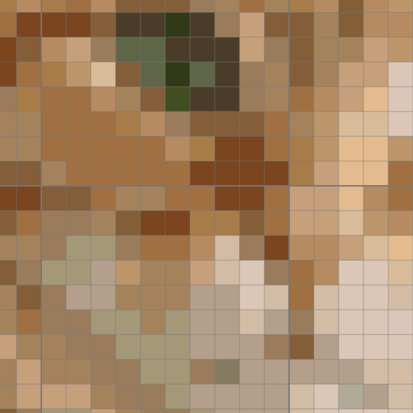 The same cat detail in flat view, generated by Crosy